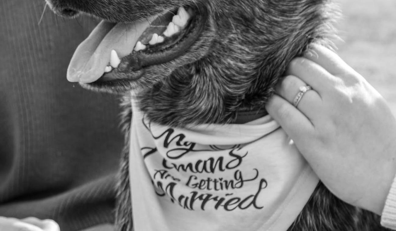 The Wedding Website of Savannah Schloesser and Jt Edwards