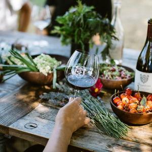Bergstrom Vineyard: Wine Tasting Lunch Experience