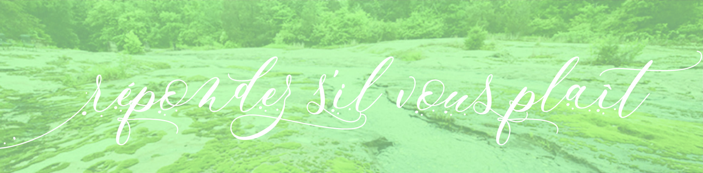 The Wedding Website of Samantha Phillips and Kyle Goodwin