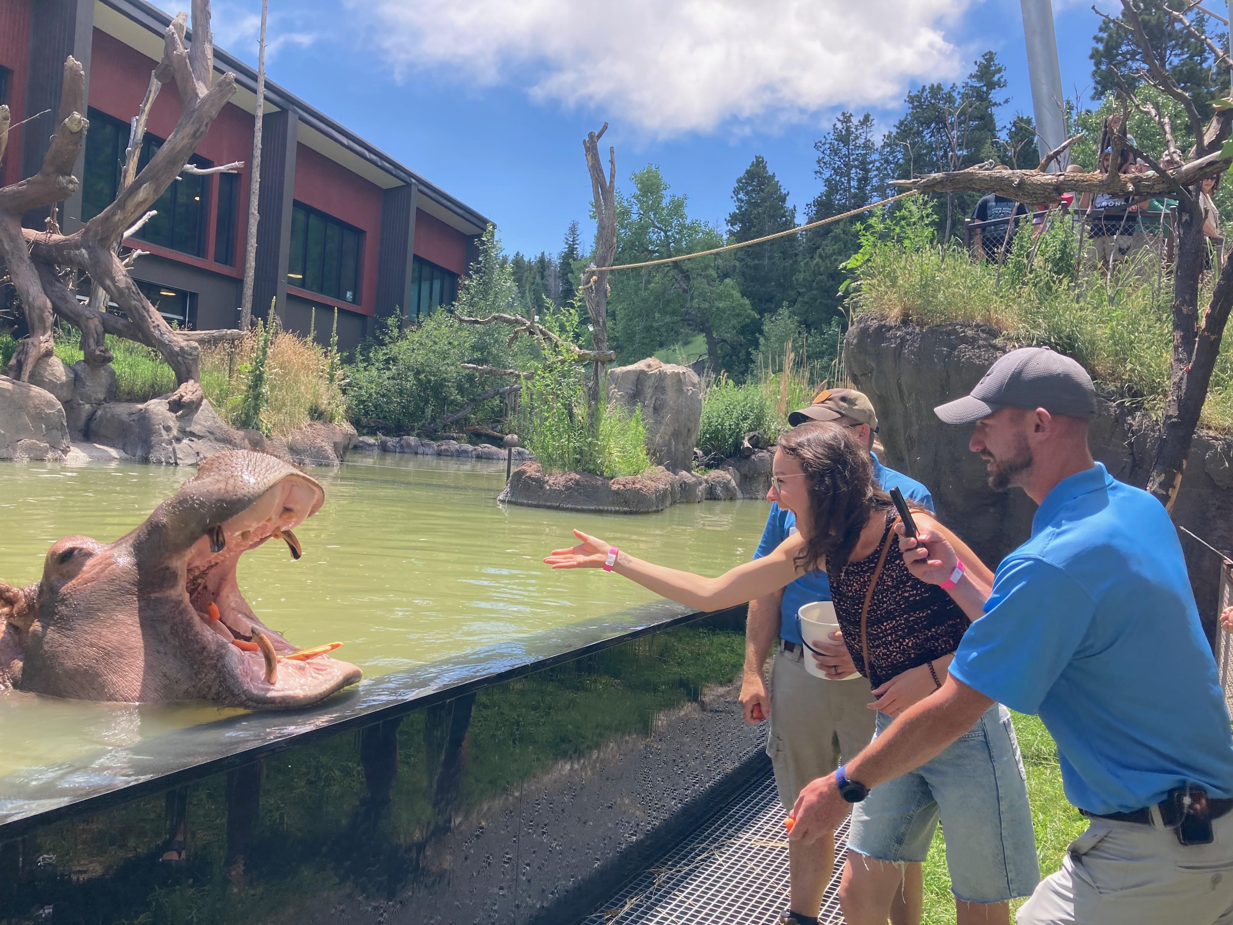 b4595f36-aa72-4b65-ae0e-339128d558b0