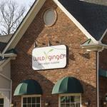 Wild Ginger