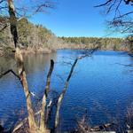 Eagle Pond