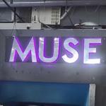 Muse
