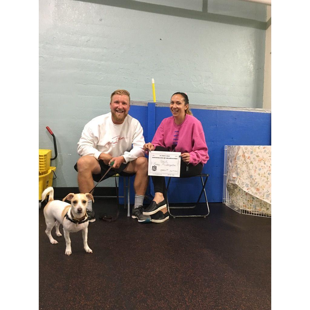 Jack passes puppy kindergarten on the second try. Grade inflation is real