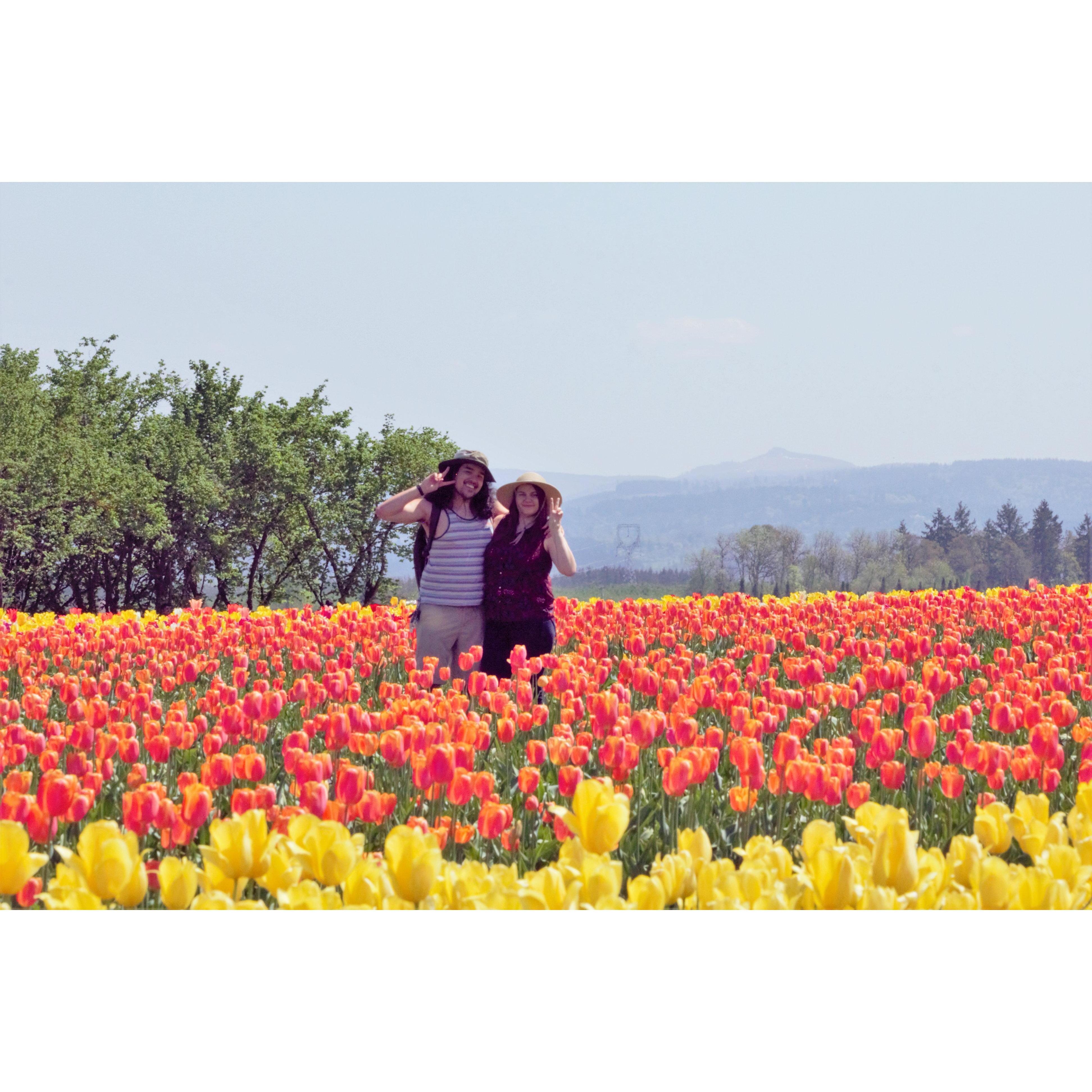 Wooden Shoe Tulip Festival