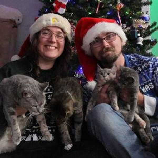Spoil our cats