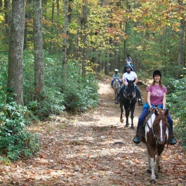 Horseback Riding On Our Honeymoon