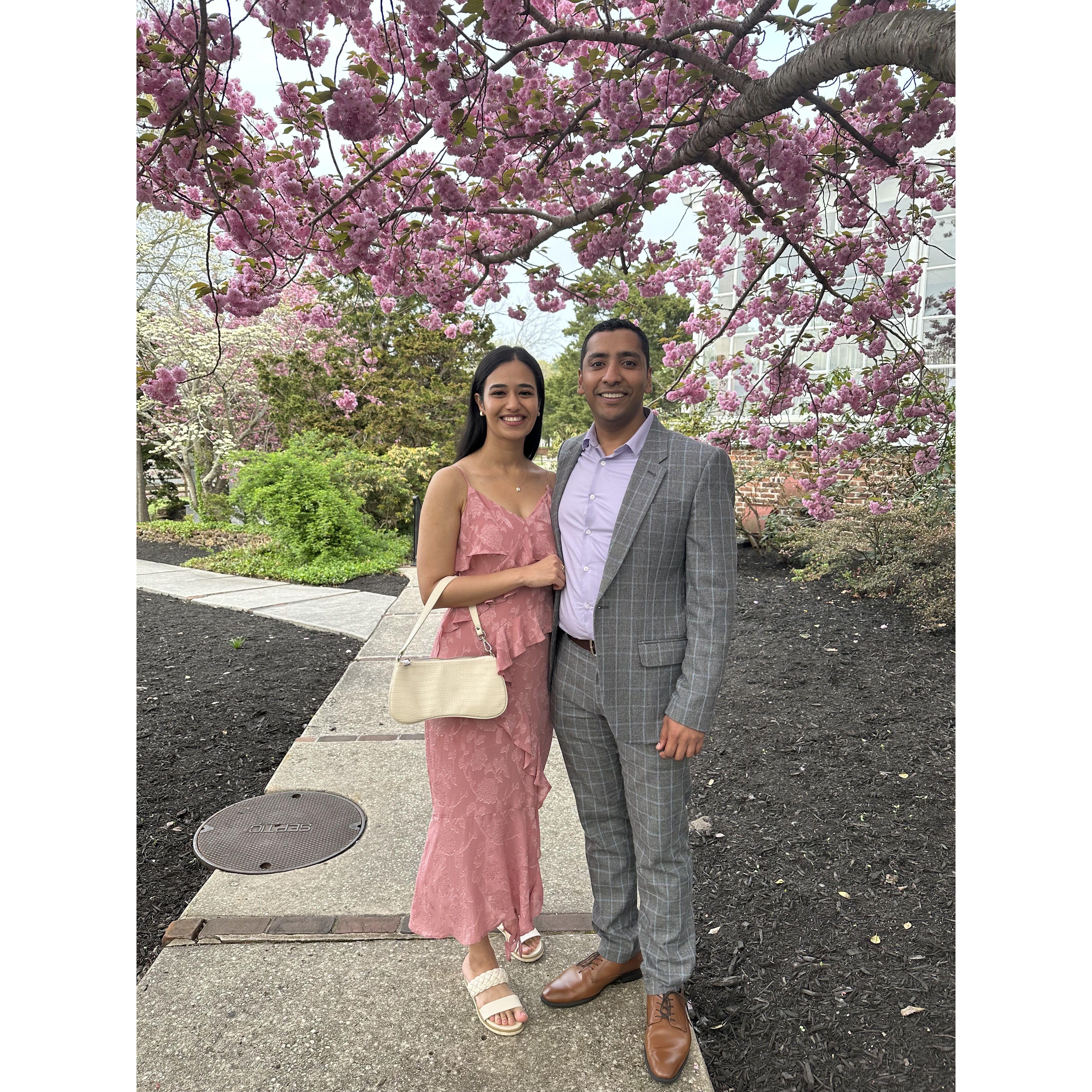 Enjoying the cherry blossoms at a wedding on a warm spring day in April.