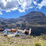 Cajas National Park