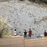 Dinosaur Ridge
