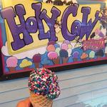 Eat | Holy Cow, A Heavenly Experience