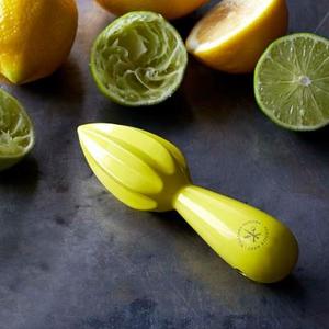 Williams Sonoma Open Kitchen Citrus Reamer
