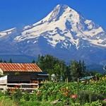 Hood River Fruit Loop