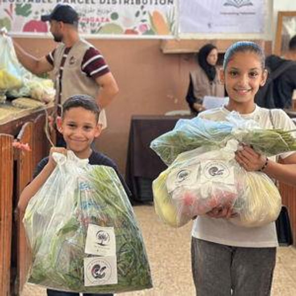 Donate to South Gaza: Food, Tents & Water