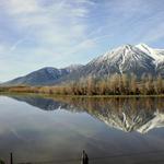 THE CARSON VALLEY