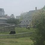 1661 Farm and Gardens
