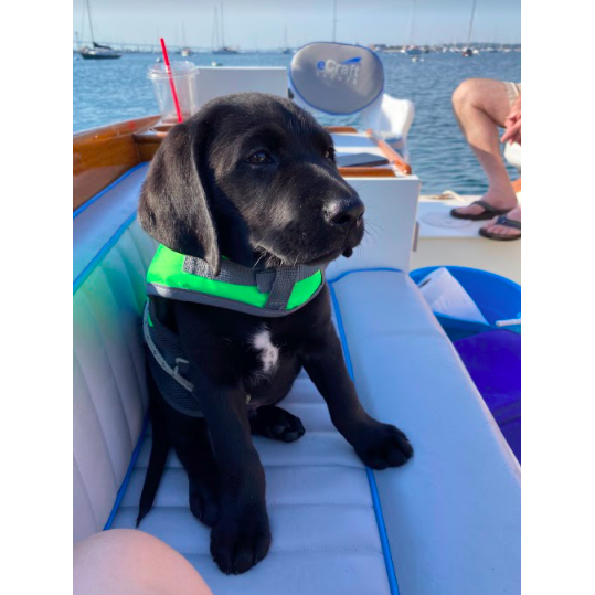 Baby's first boat ride