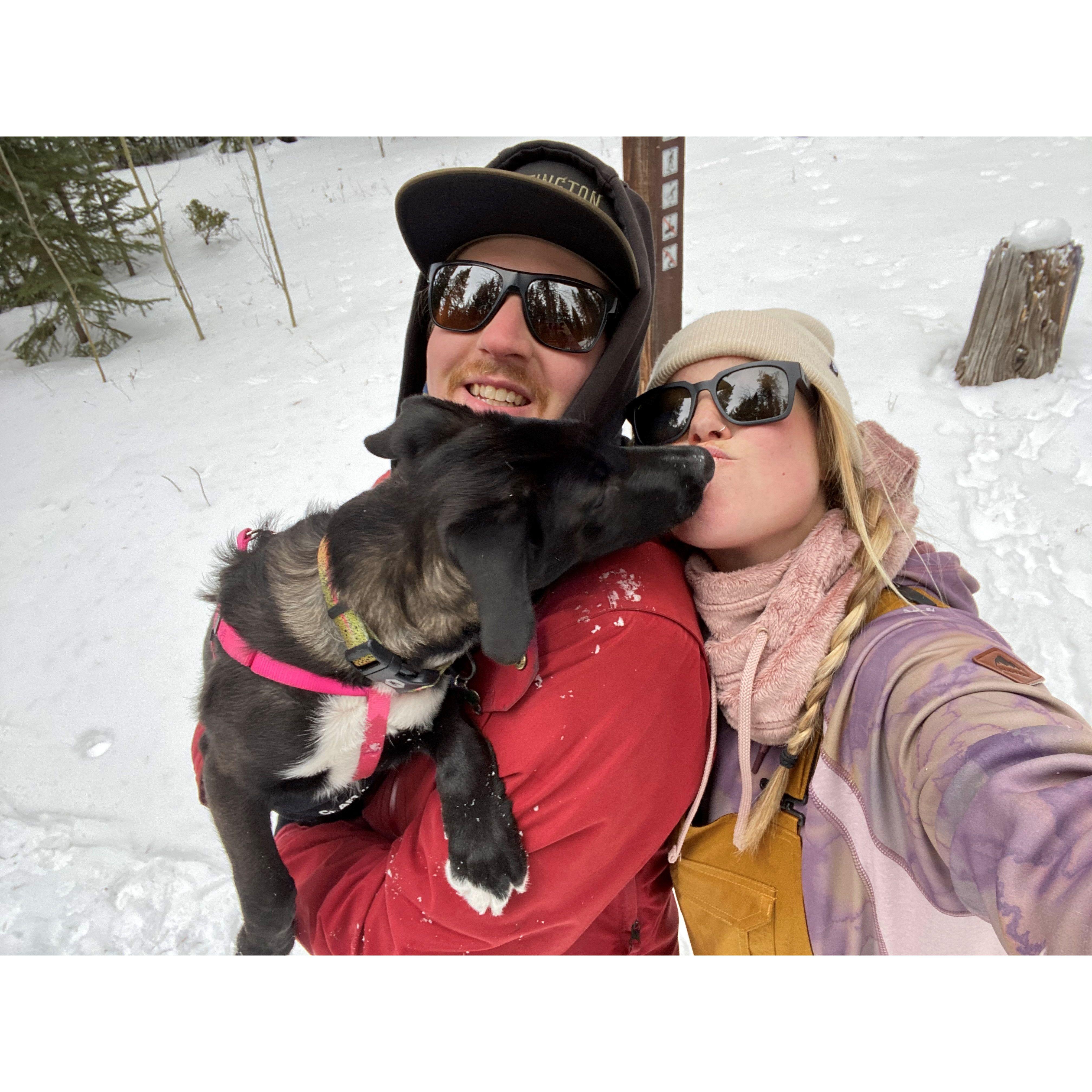One of our many snowy hikes with our sweet Indy girl