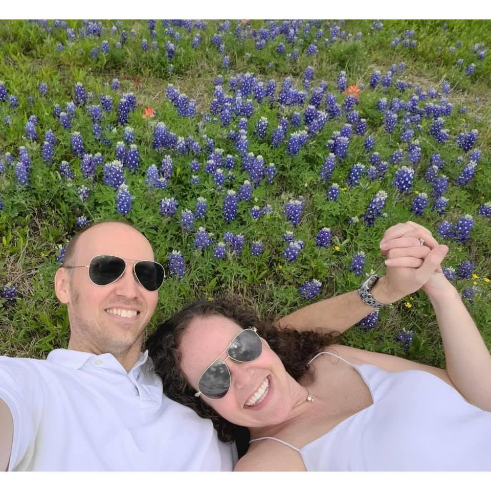 Bluebonnets in Texas 2021