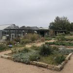 Lady Bird Johnson Wildflower Center