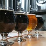 MyGrain Brewery