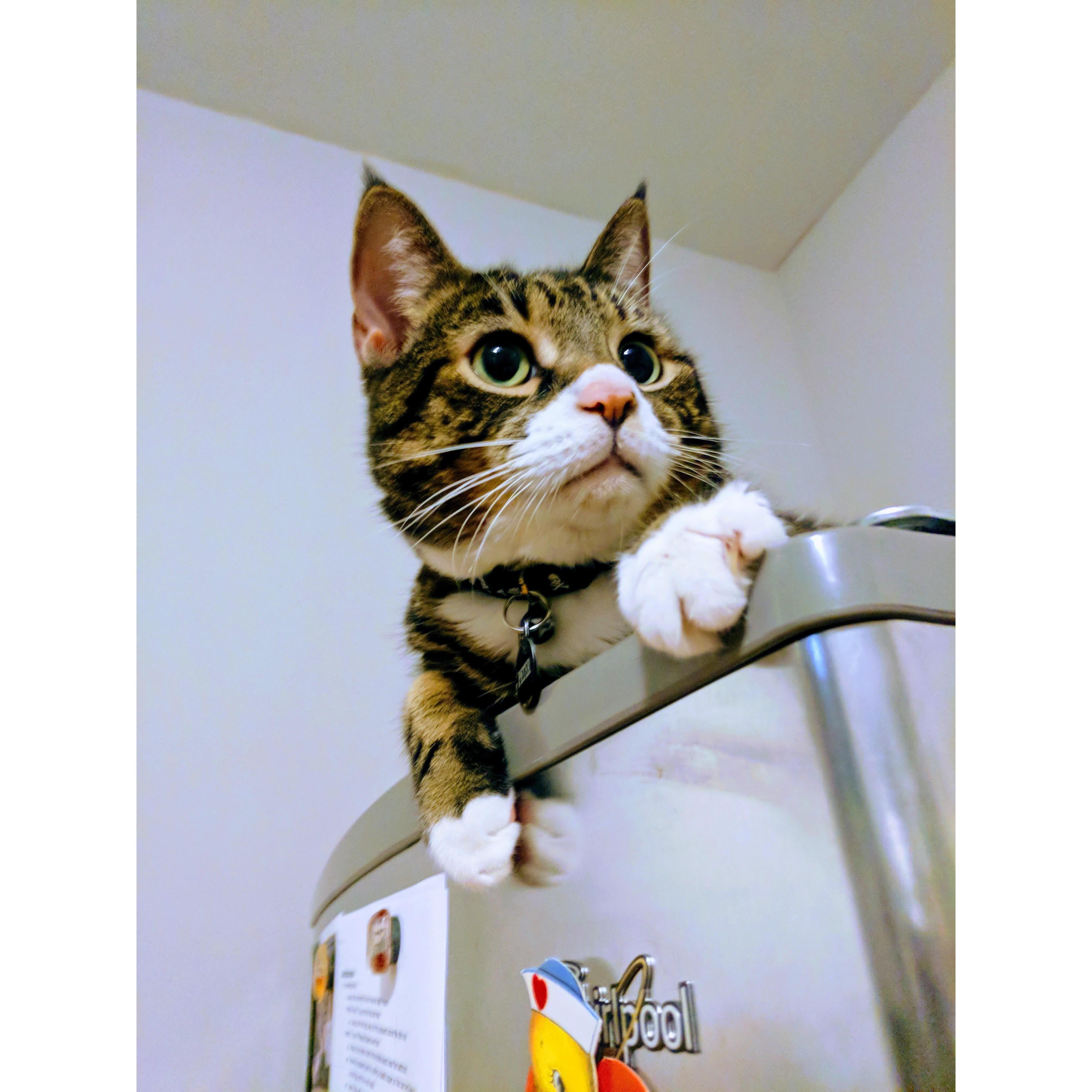 Peter