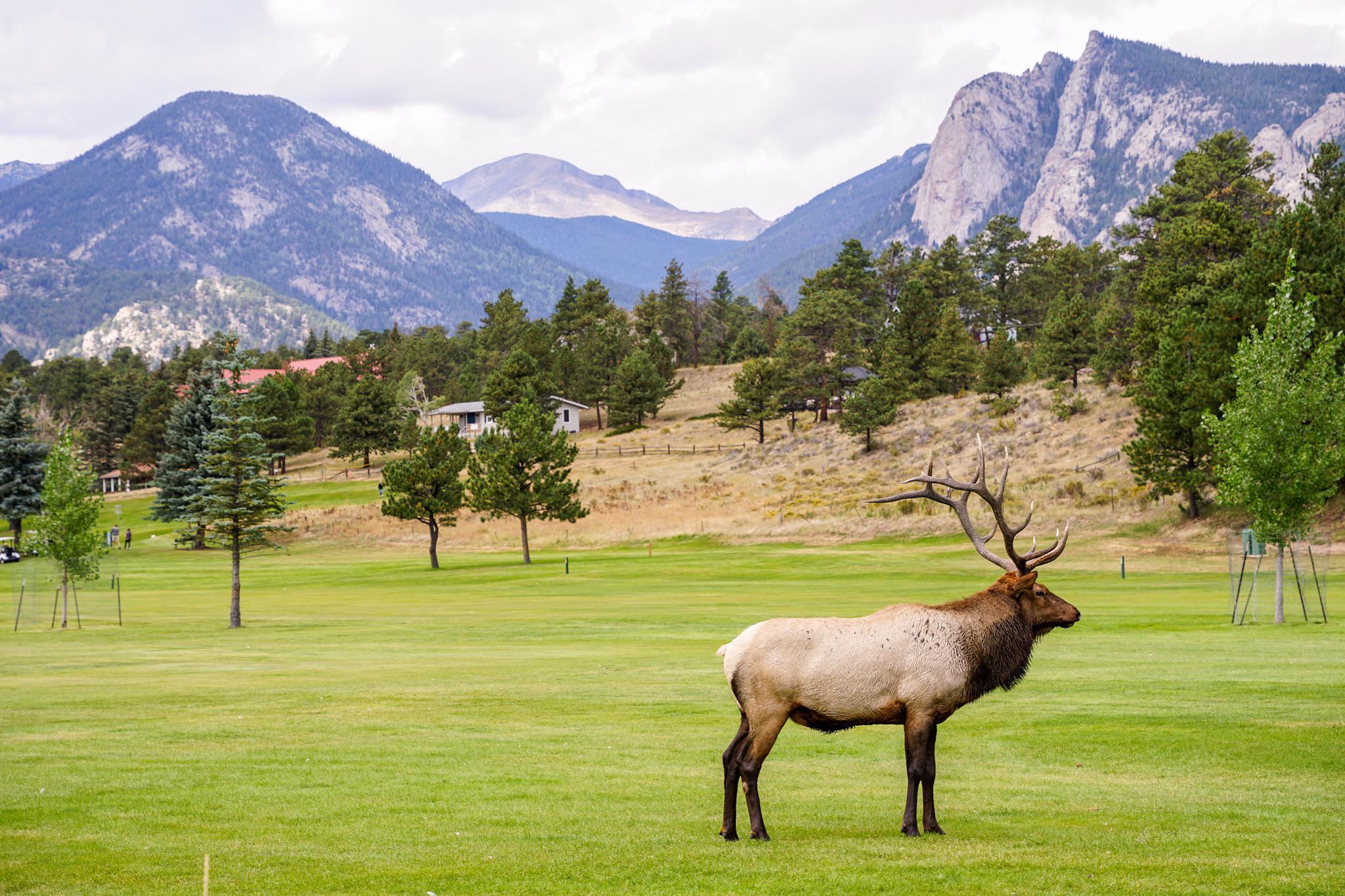 The Wedding Website of Amanda Dinh and Ryan Servas