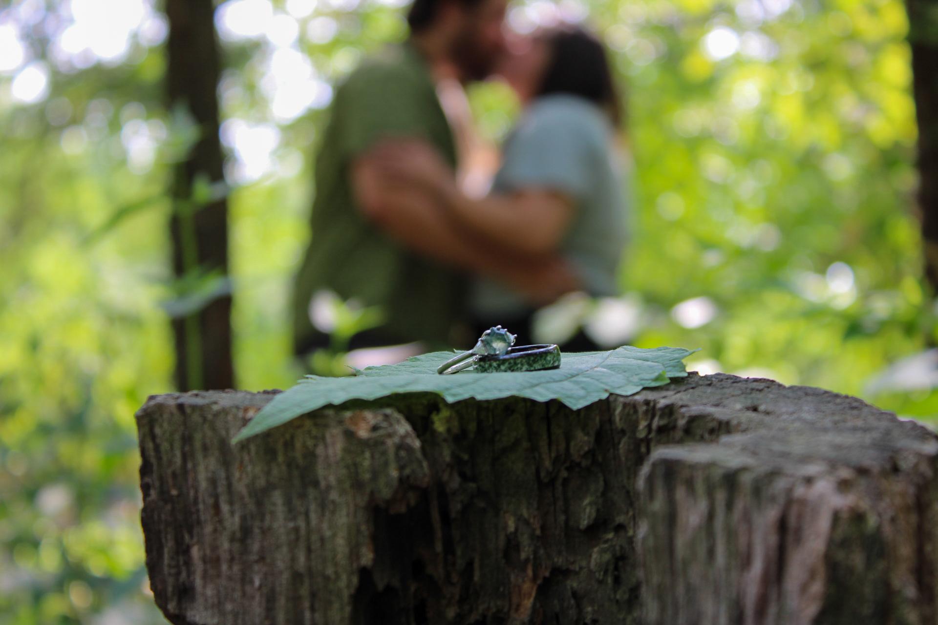 The Wedding Website of Savanna Leahr and Simon Marshak