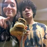 El tubo