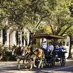 Charleston Carriage Tours