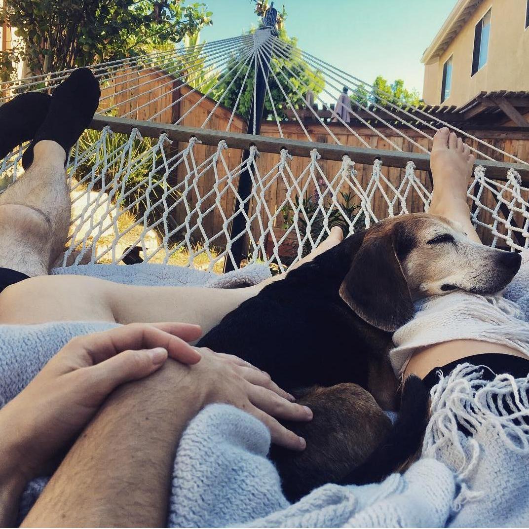 We love to lay on our hammock with our Bella in our laps.