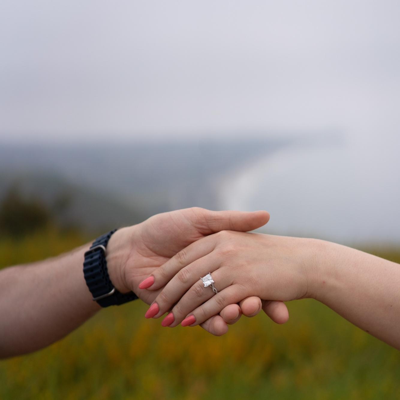 Engagement in Malibu, 4/20/2024