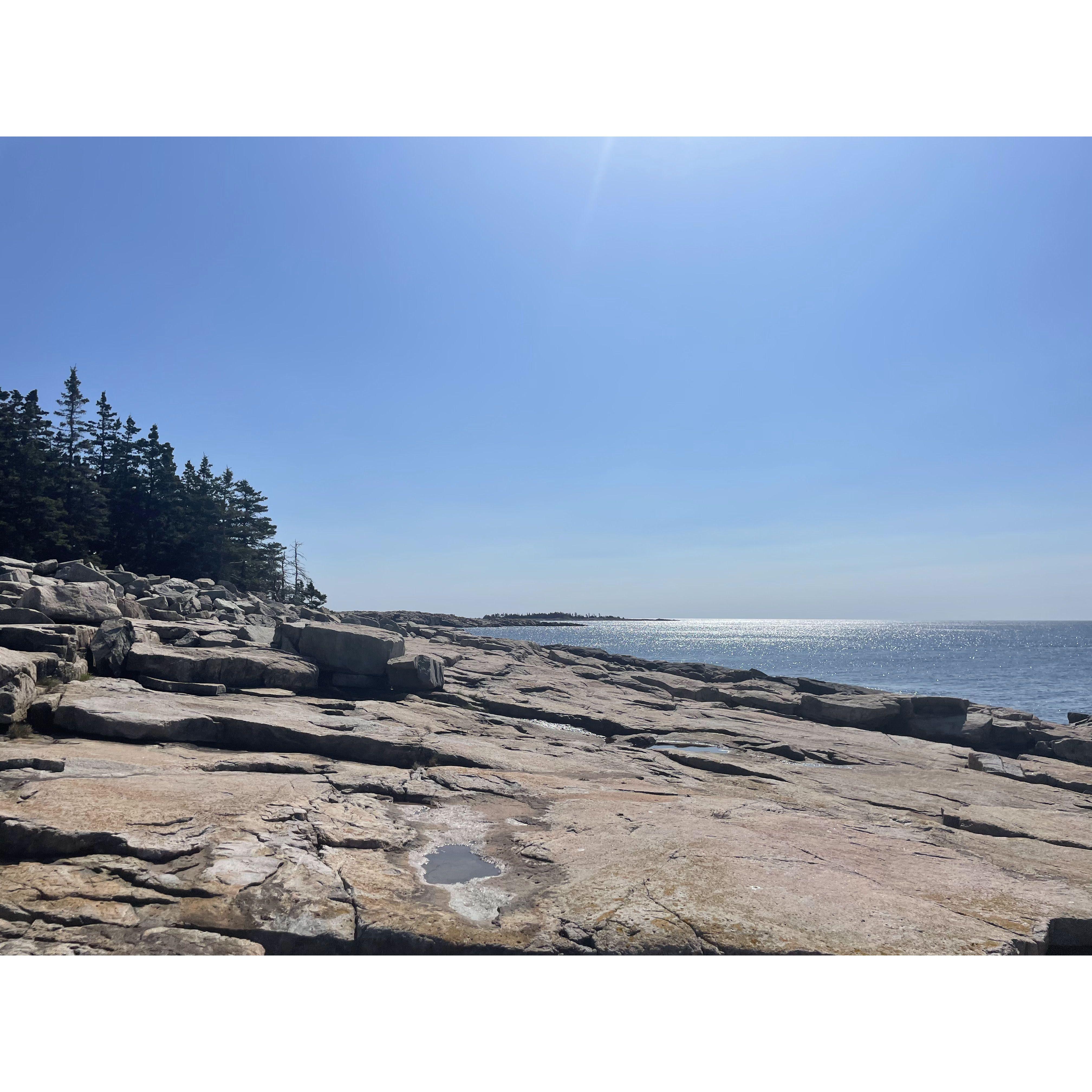 The Wonderland Trail