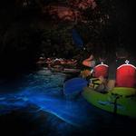 Bahía Bioluminiscente