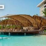 Bamboo - Southeast Asian cuisine