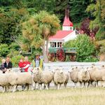 Walter Peak High Country Farm - RealNZ