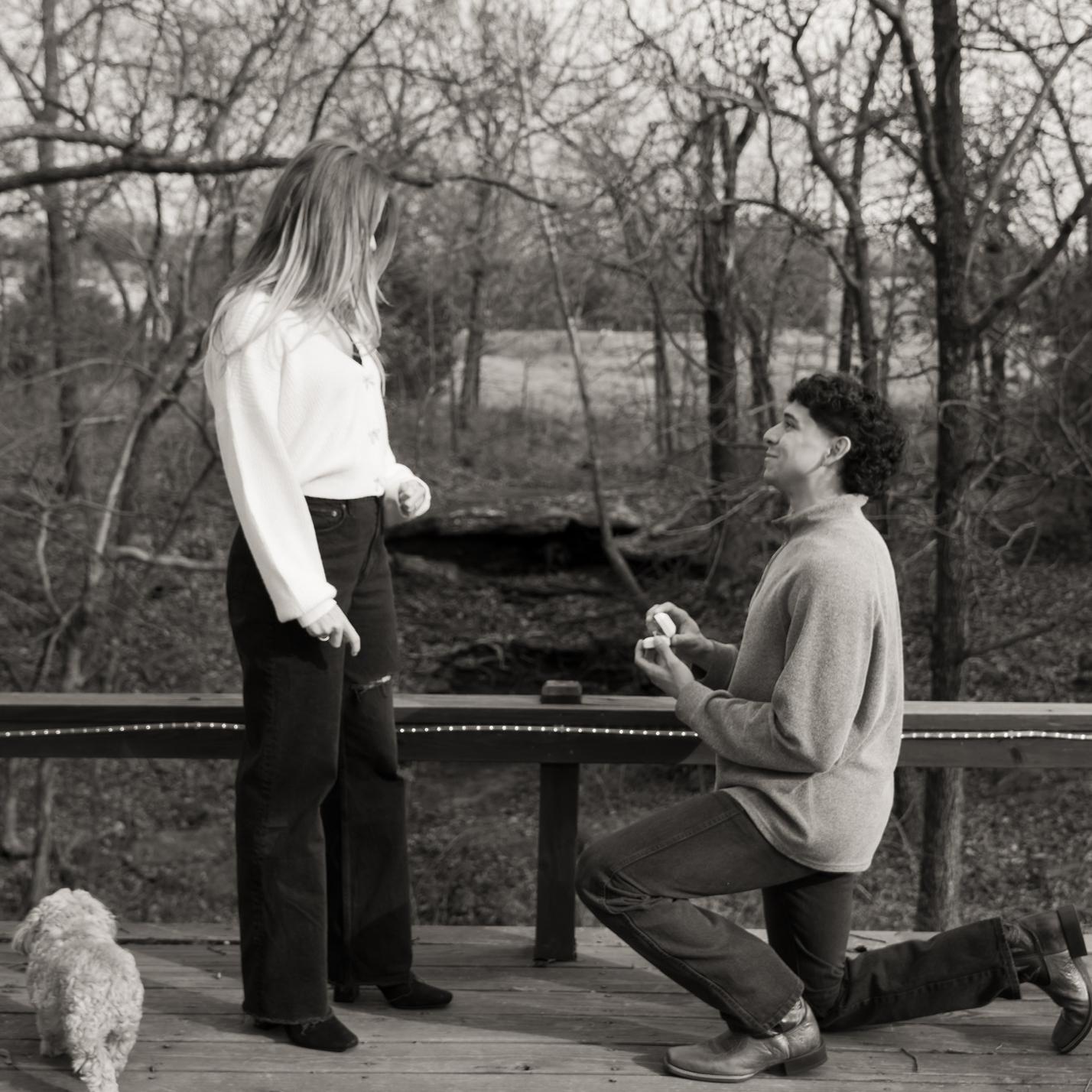 The Proposal