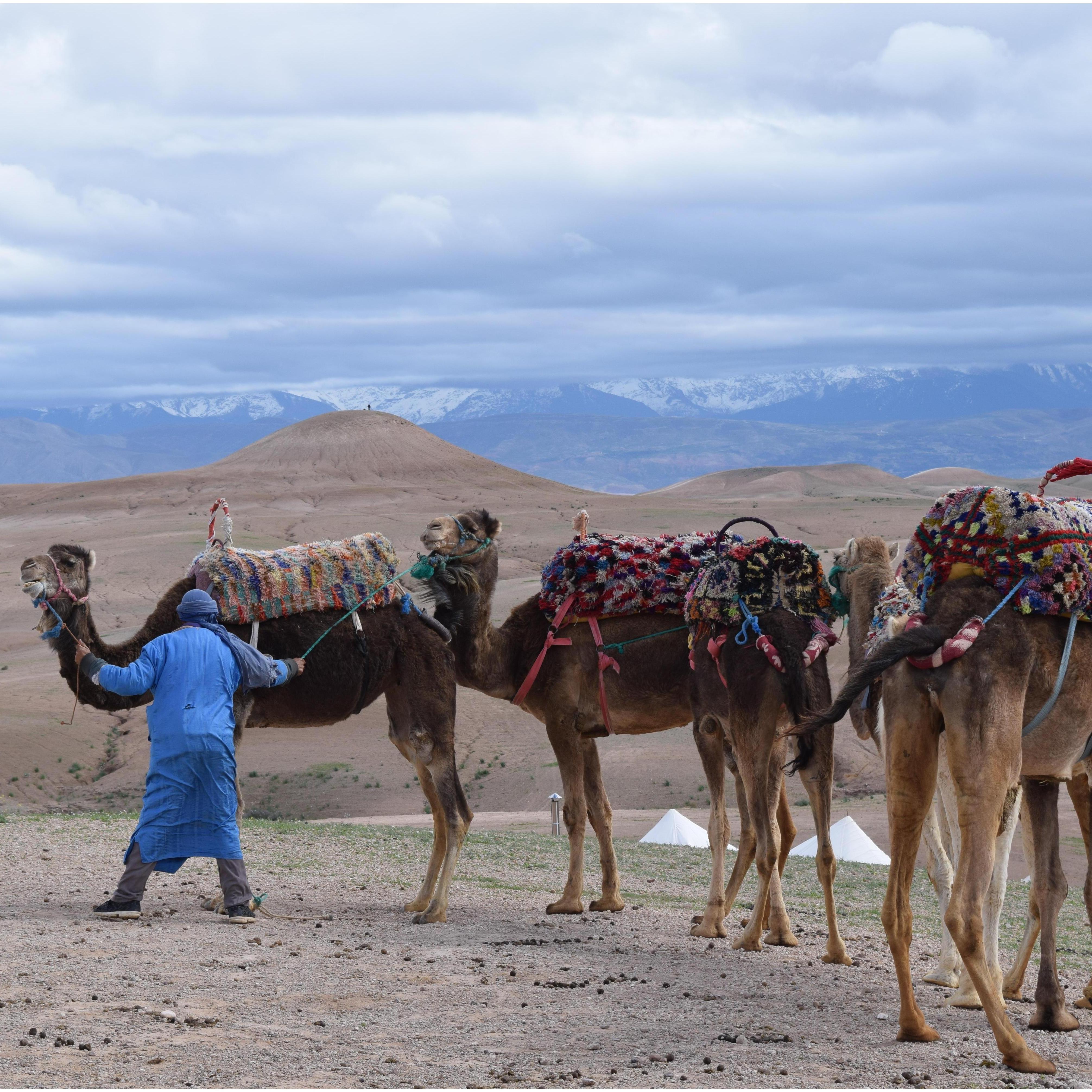 Pre-camel ride. Post engagement. Outside of Marrackech 03/2018