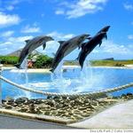 Sea Life Park Hawaii