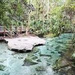 Kelly Park - Rock Springs
