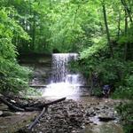 Salamonie River State Forest