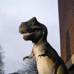 Museum of Science