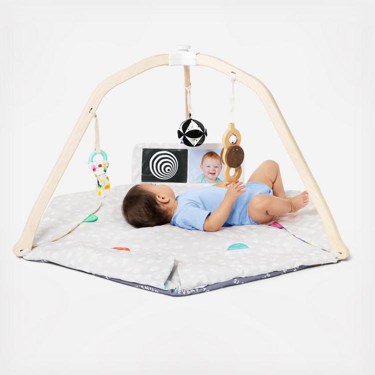 Lovevery, The Play Gym | Zola Baby