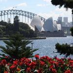Botanic Gardens of Sydney