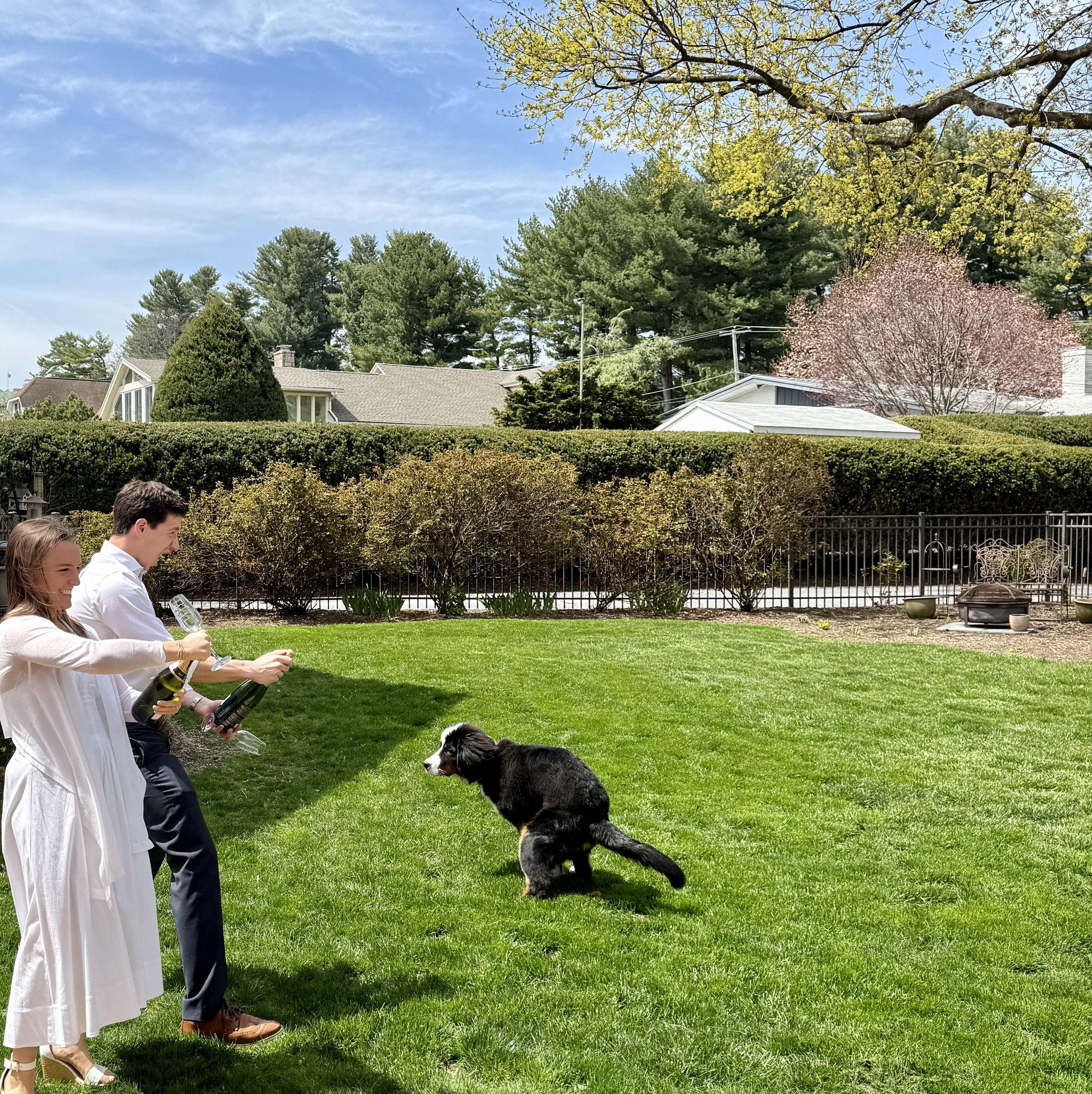 Chewie helping us celebrate our courthouse marriage in style