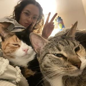 Something For the Kitties (Chewy Fund)