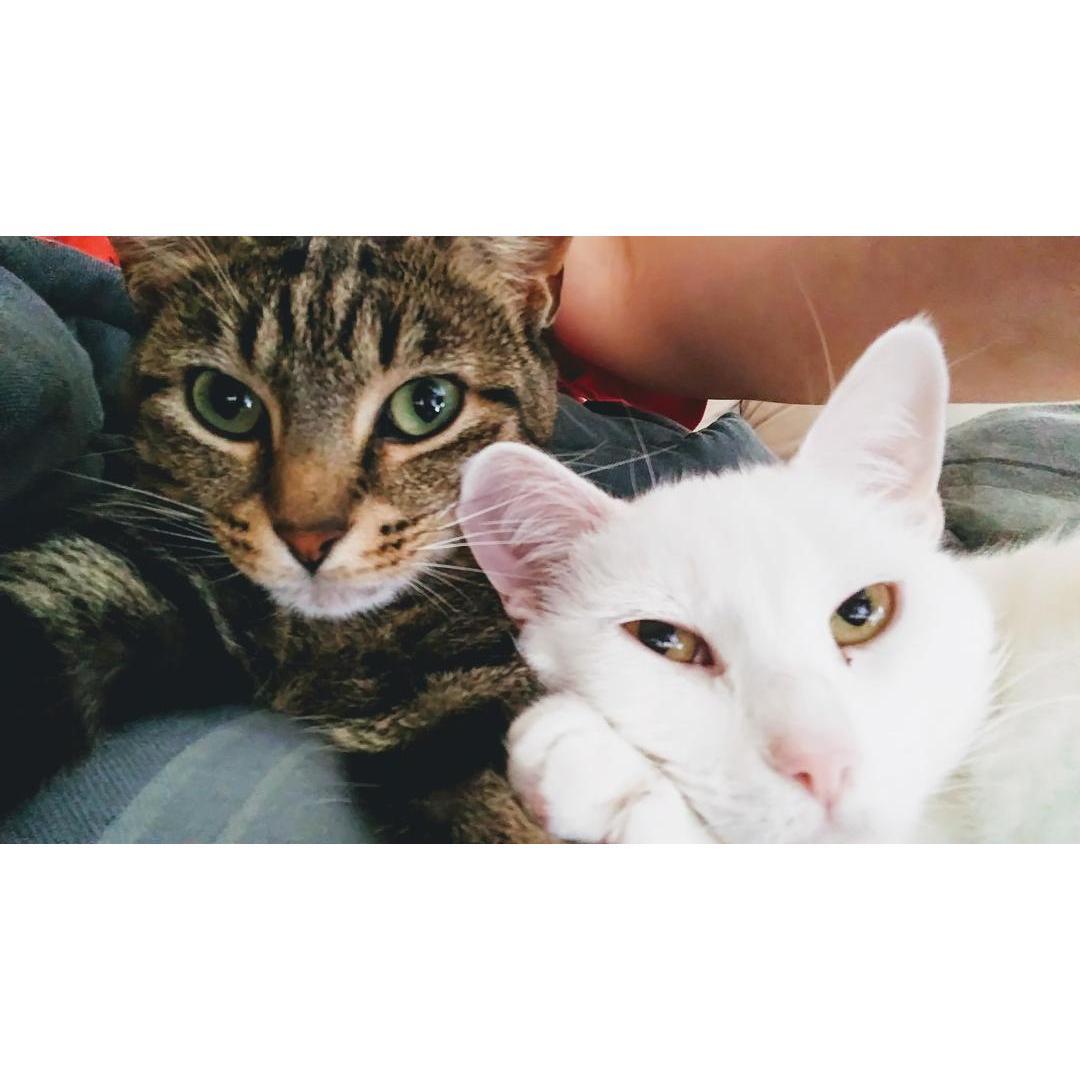 Minerva and Ghost <3