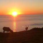 Point Reyes National Seashore
