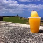 Castillo San Felipe del Morro