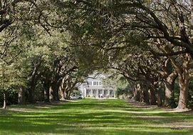 The Wedding Website of Sarah Bussell and Michael Mattera